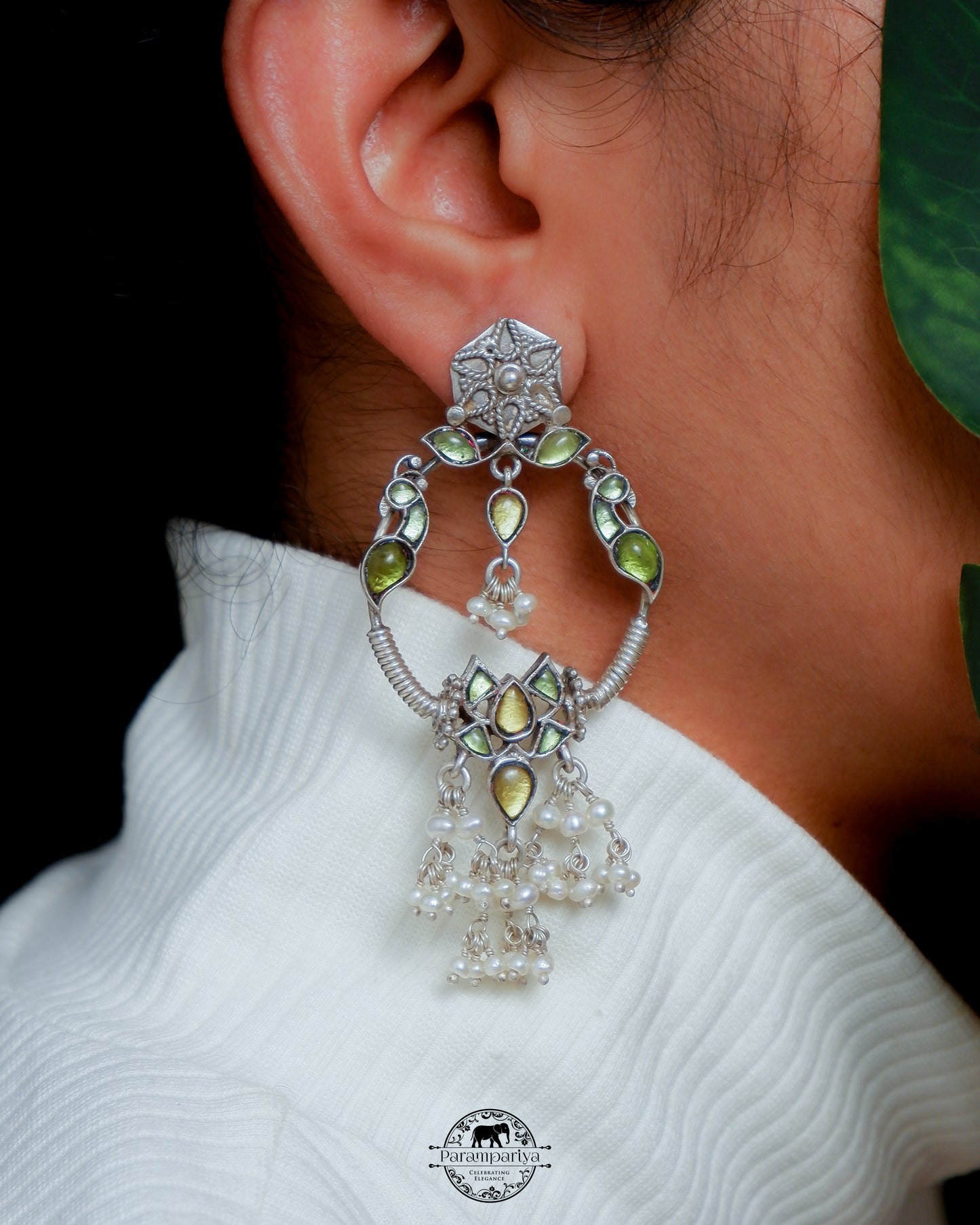 Vani Silver Earrings