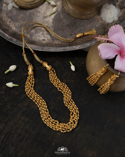 Thenmozhi Necklace Set