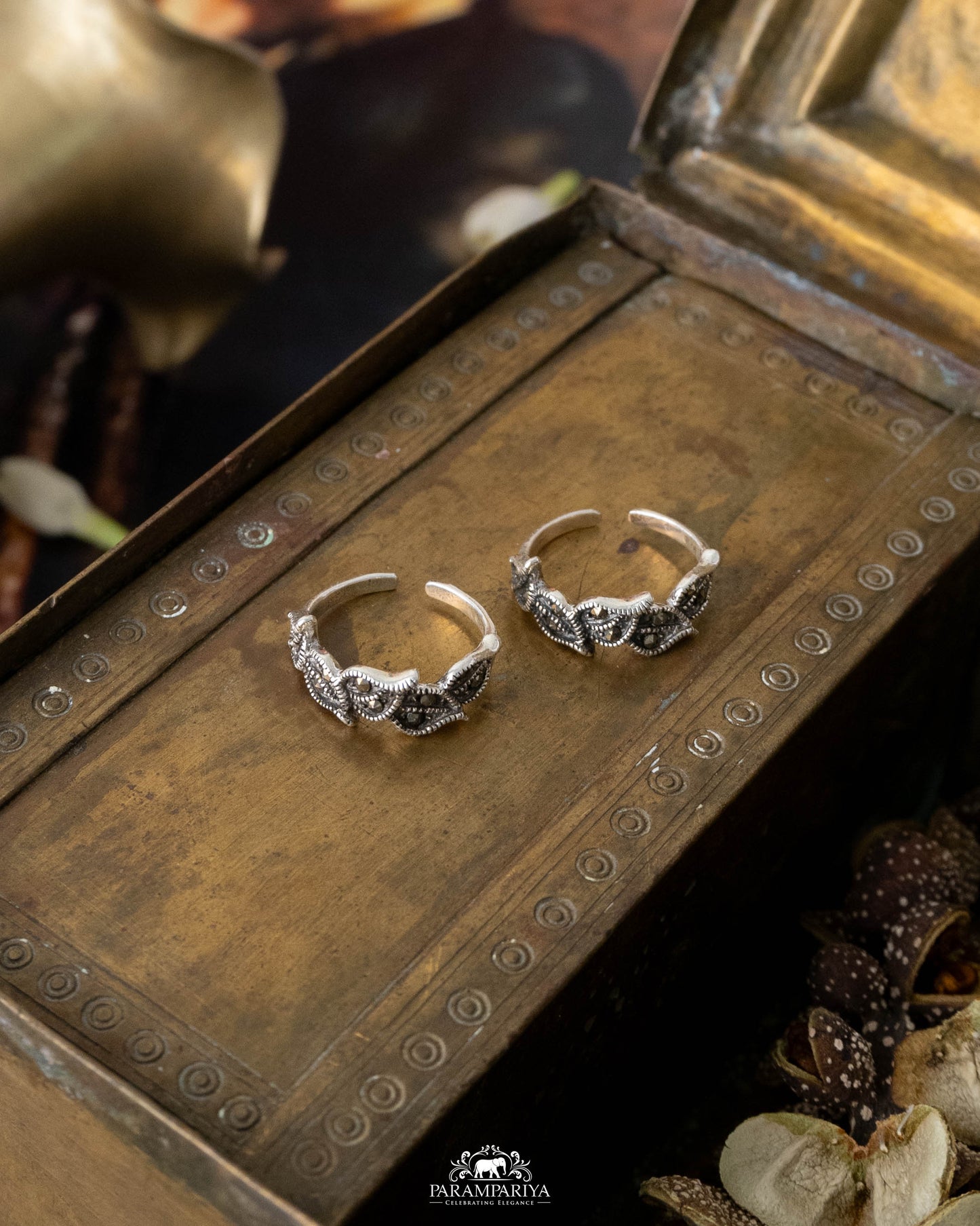 Suja Toe Rings (Pair)