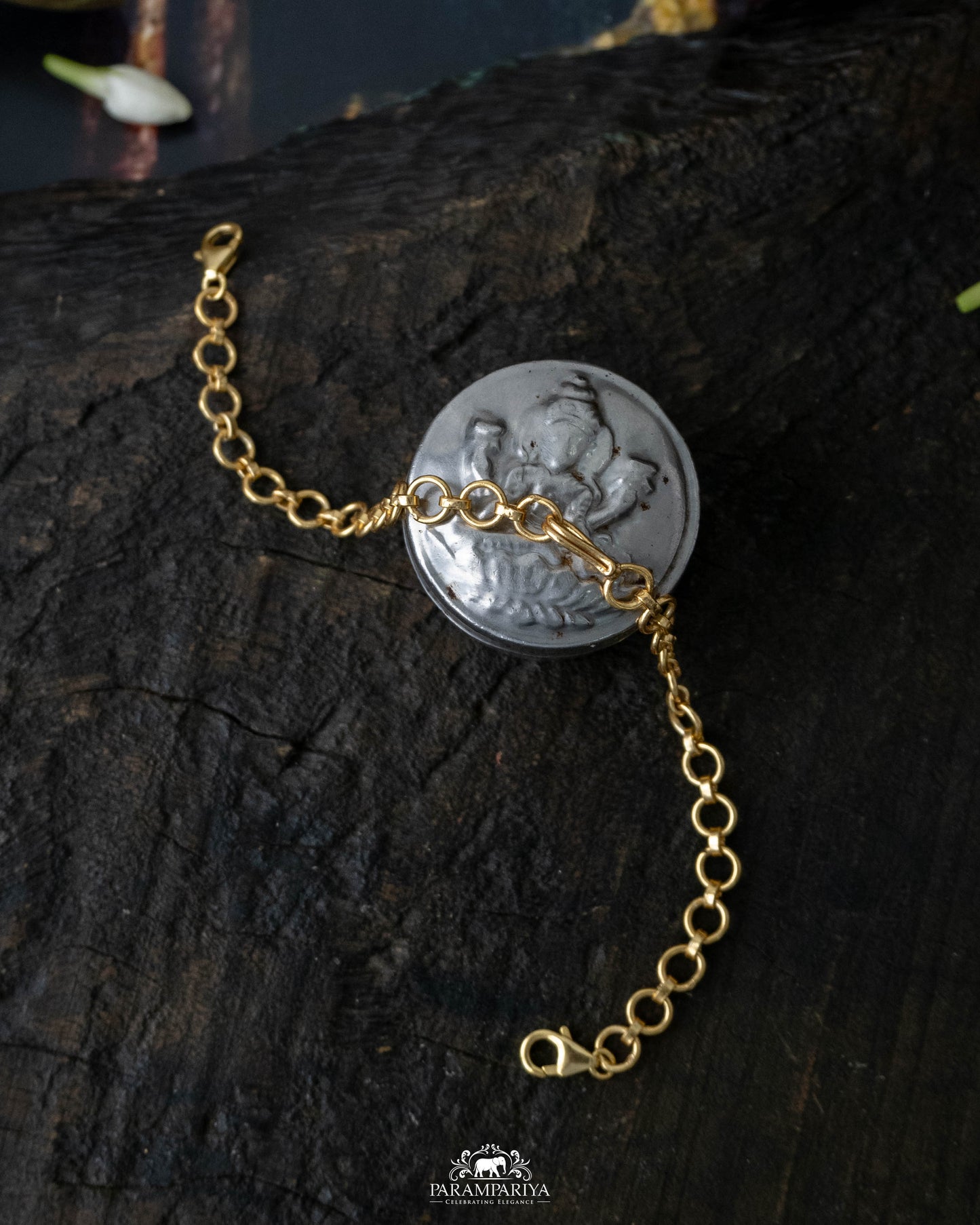 Backchain With Fish Hook
